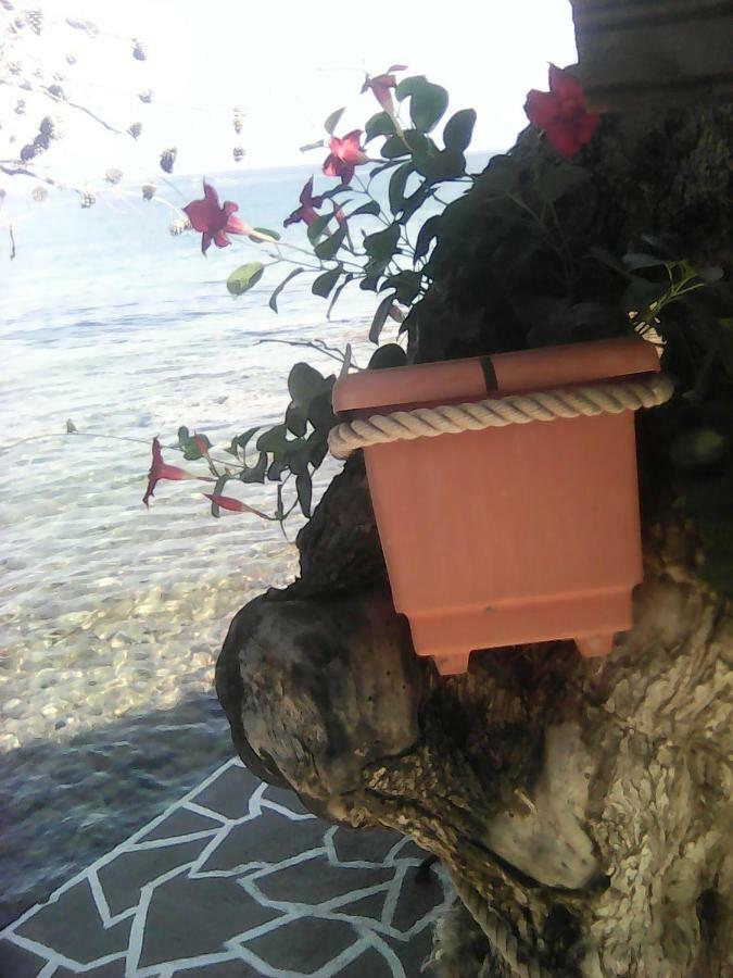 Agyrovoli Bungalow Skála Kallirákhis エクステリア 写真